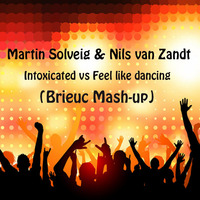Martin Solveig &amp; Nils van Zandt - Intoxicated vs Feel like dancing (Brieuc Mash-up) by BRIEUC