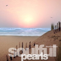Soulful House Pearls by Mat Price (aka Lexx)