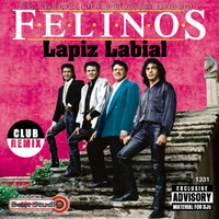 LOS FELINOS - Lapiz Labial (Dj Fx Lost Beat) Pue-Mex by djfx Puebla Mexico
