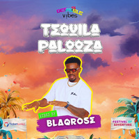 DESPECIBLE VIBES TEQUILA PALOOZA LIVE AUDIO by Blaqrose Supreme