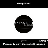 Many Vibes present Madsax Leeroy Olessia Ls Brigandes exp107 out 06/06/2016 by Expanded Records