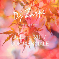 Mixtape_Autumn 2017|Commerciale by Dj Zarpe