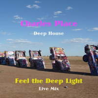 Feel The Deep Light by Charles Place