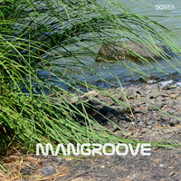 Mangroove by Sosta