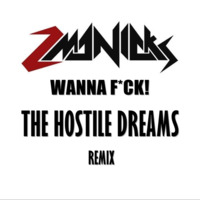 2MANIAKS - WANNA F*CK (The Hostile Dreams Remix) by The Hostile Dreams