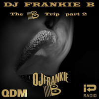 Dutch DJ Frankie B The B Trip #2 2017 by FRANKIE-B
