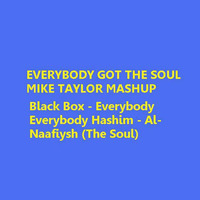 EVERYBODY GOT THE SOUL MIKE TAYLOR MASHUP by Mike Taylor