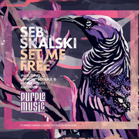 Seb Skalski - Ghetto Funk ( Radio Mix ) taken from -Set Me Free-Album by Seb Skalski