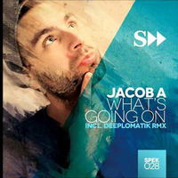Jacob A - What's Going On ( Seb's Rework ) by Seb Skalski