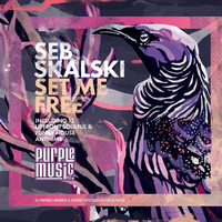 Seb Skalski &amp; Masta P &amp; L.T. Brown - Set Me Free (Original Soul Mix) taken from LP Album by Seb Skalski