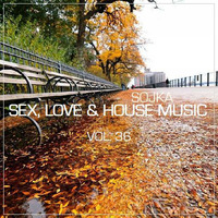SOJKA - SEX, LOVE & HOUSE MUSIC 36 (14.11.2017) - 320 kbps by SOJKA