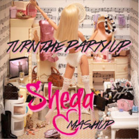 Turn the party up - Shega Mashup by Shega