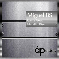 Miguel BS - Came Gout (Original Mix) by Miguel BS
