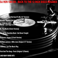 Back to the 12 inch disco top 200 megamix by Ron van Ek by Ron van Ek