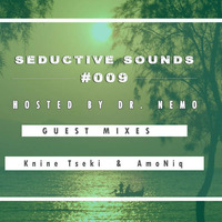 Dr Nemo - Seductive Sounds #009 Guest Mix By Knine Tseki by Knine Tseki