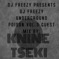 DJ Freezy Pres. Underground Poison Vol. 3 Guest Mix By Knine Tseki by Knine Tseki