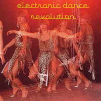 Pieter Legel - Electronic Dance Revolution by Pieter Legel