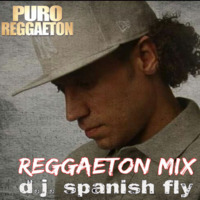 DJ Spanish Fly - PURO Reggaeton Mix Vol.1 2016 by DJ Spanish Fly