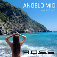 R.O.S.S. feat. Andy Borg - ANGELO MIO | Mashup-Remix 2018 by DAS ROSS IM RADIO