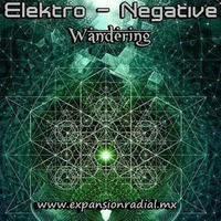 Elektro - Negative [ Wandering ] @ Expansion Radial by Elektro -  Negative