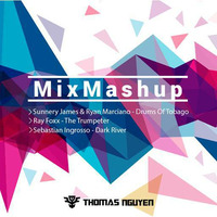 MixMashup-2017-01 by Thomas Nguyen