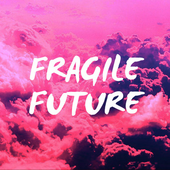 Fragile Future