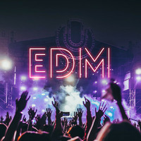2024 EDM Mix 2 by Fredgarde