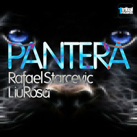 Rafael Starcevic &amp; LiuRosa - Pantera (Original Mix) by Rafael Starcevic & Liu Rosa