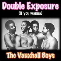 Double Exposure (If You Wanna) - Vauxhall Boys by Vauxhall Boys