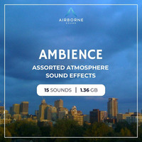 Ambience Sound Library Audio Demo Preview Montage 48k 24 by airbornesound