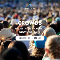 Crowd Sound Library Audio Demo Preview Montage by airbornesound
