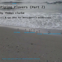 Piping Plovers (Part 2) by Thomas Clarke