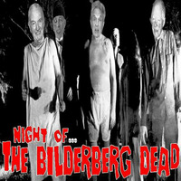 DubHocki -InTheMix- NIGHT OF... THE BILDERBERG DEAD (10 tracks from 3) by Hockabilly