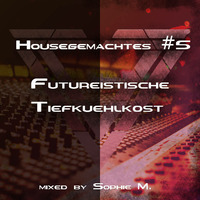 Housegemachtes #5 Futureistische Tiefkühlkost - Sophie M. by Sophie M.