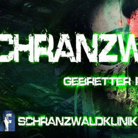 Schranzwaldklinik Vs. BassBistro - Hardtechno Intravenös #01 31.12.2015 by Soundkilla`s  BassBistro