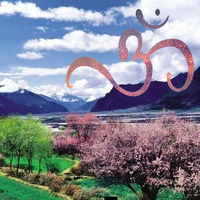 Vini Vici, Highlight Tribe &amp; Major 7 - Namaste , It's Here To Free Tibet's Tribe (HERB-La-Vie 4th Dimension Mashup REMASTERED) by Herbert Lye