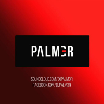 PALM3R (Edits - Mashups - Bootlegs)