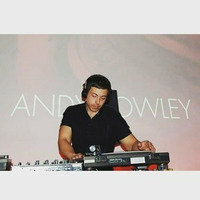 Andy Rowley Classic 90's House Vol 1 by Andy Rowley