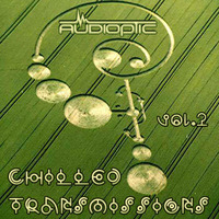 CHILLED TRANSMISSIONS VOL2 by Dj Audioptic