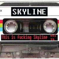 This is fucking Skyline Vol. 14 by Skyline