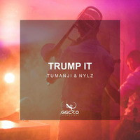 Tumanji &amp; Nylz - Trump It (Original Mix) by NYLZ