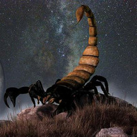 Scorpio (Perfect Universe) by Sirgado