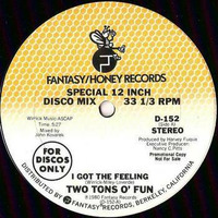 Two Tons Of Fun - I Got The Feeling APK Mix  by Music Mania 2015