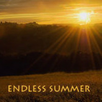 audite - Endless Summer (Dub / Dubstep / 2008) by audite