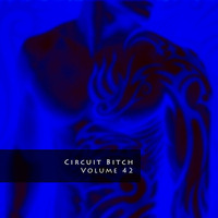 Circuit Bitch, Volume 42 by Brian Johnson (@sfCircuitQueen)