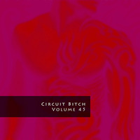 Circuit Bitch, Volume 45 by Brian Johnson (@sfCircuitQueen)