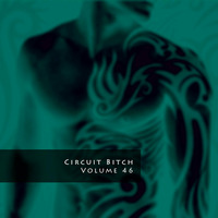Circuit Bitch, Volume 46 by Brian Johnson (@sfCircuitQueen)