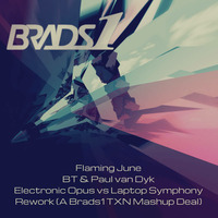 Flaming June  BT &amp; Paul van Dyk Electronic Opus vs Laptop Symphony Rework (A Brads1 TXN Mashup Deal) by Brads1