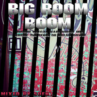 BIG ROOM BOOM (Insane Illegal Ware House Mix - Break The Fence or Break Down!) by sdfkt.