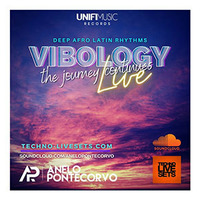 Anelo Pontecorvo - Vibology Live pt2 (Nov 2020) [Unifi Music Records] by Techno Music Radio Station 24/7 - Techno Live Sets